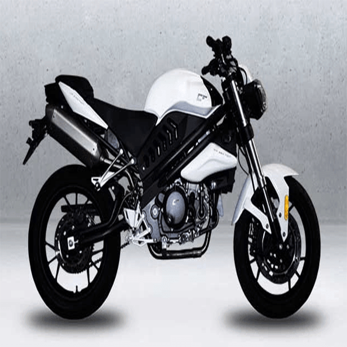 CF Twin 250 EFI 2